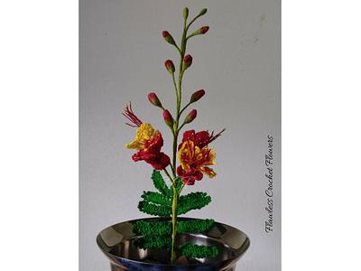 Pride Of Barbados Peacock Flower (Dwarf Poinciana) - Project by Flawless Crochet Flowers