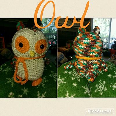 Owl - Project by Down Home Crochet