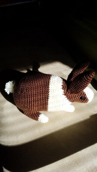 Eve's Dutch Rabbit - Project by Charlotte Huffman