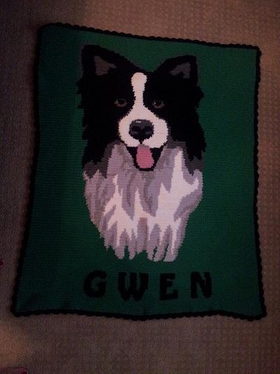 Border Collie Blanket - Project by lizzy219