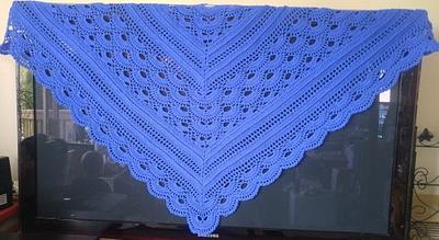 Virus Meets Deichspielerei Shawl - Project by Lcbax