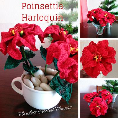 Crochet Poinsettia Harlequin - Project by Flawless Crochet Flowers