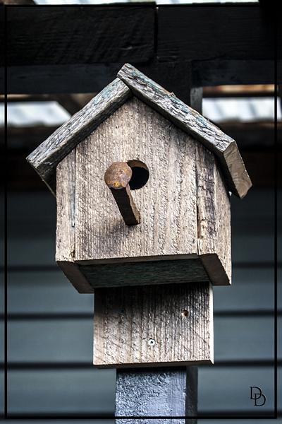 Bird Houses - Project by Railway Junk Creations