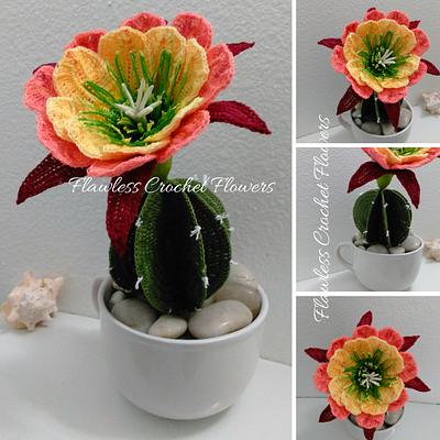 Apricot Glow Flowering Cactus - Project by Flawless Crochet Flowers