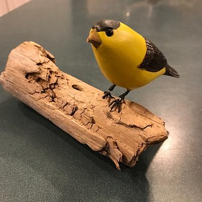 Carved Yellow Goldfinch and Robin - Project by Pat1