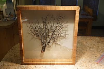 Shadow box. - Project by Madts