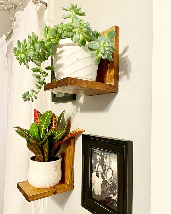 Wooden Plant Shelves Woodworking Project by Emily Craftisian