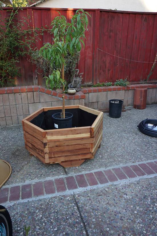 Quick and Dirty Planter - Woodworking Project by lanwater Quick and Dirty Planter - Woodworking Project by lanwater