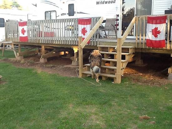 Old Project - Deck - Woodworking Project by Thorreain Old Project - Deck - Woodworking Project by Thorreain