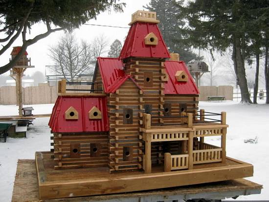 Extreme Birdhouses - Woodworking Project by John L Extreme Birdhouses - Woodworking Project by John L