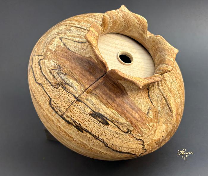 Vessel of Illusion