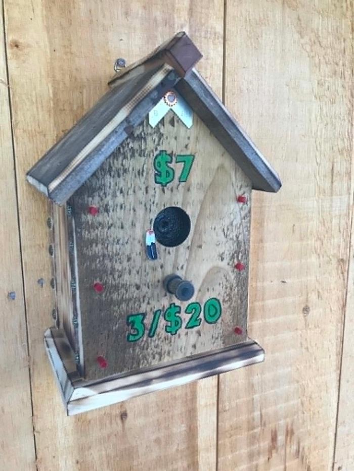 Birdhouse Money Box