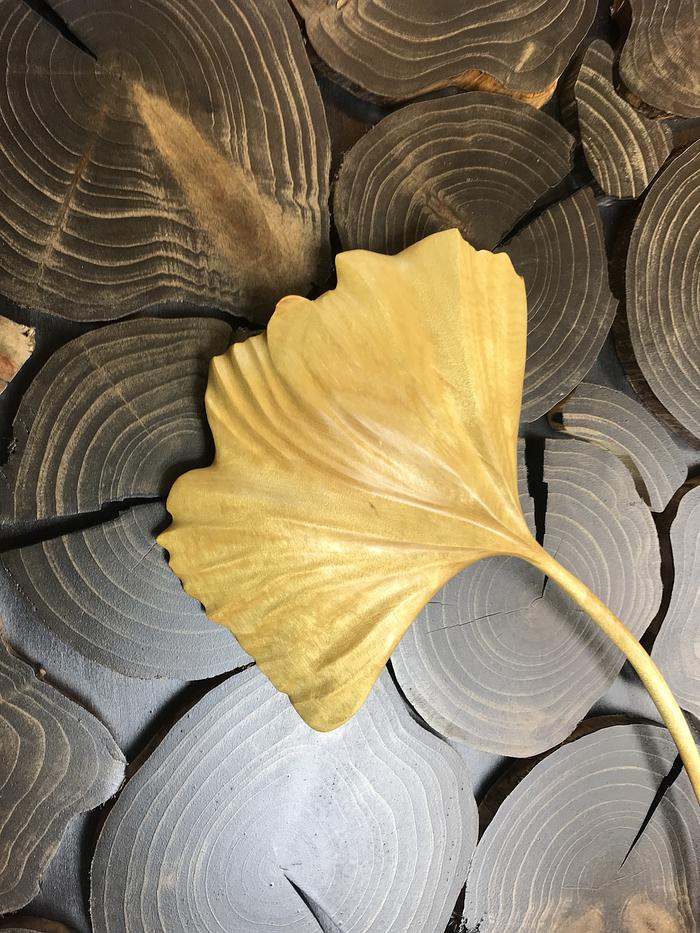 Falling Ginkgo leaf