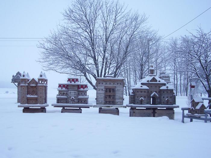 Extreme Birdhouses! Winter Time in Belgrave!