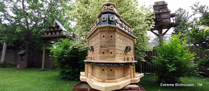 Extreme Birdhouses!