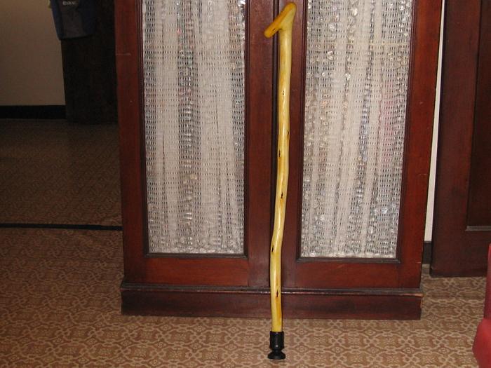 WALKING STICK MADE FROM BOAGAINVILLIA GROWING IN MY BACK YARD