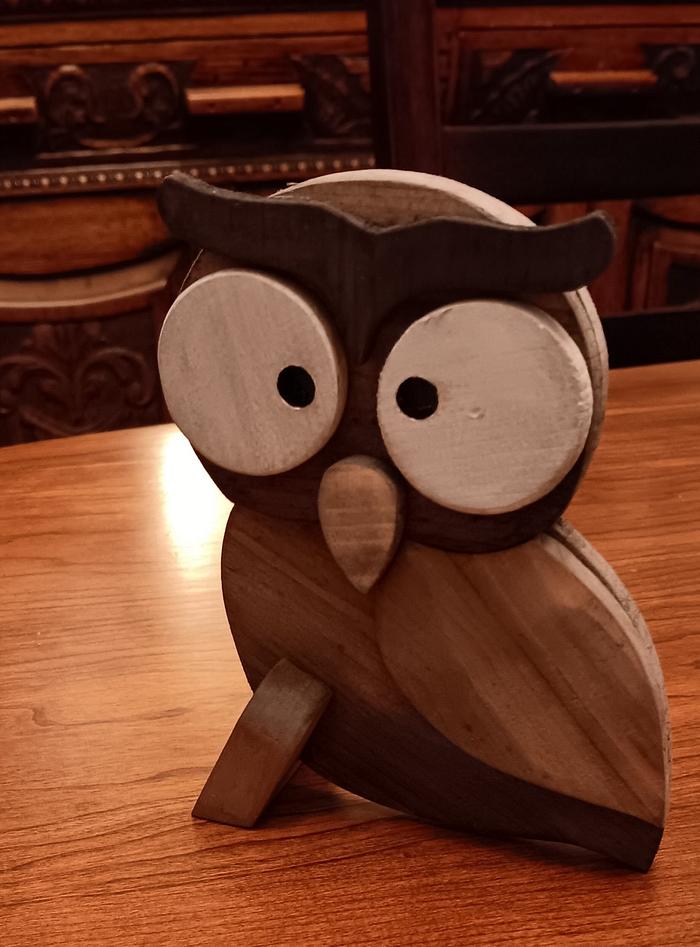 An Owl for my Grand daughter