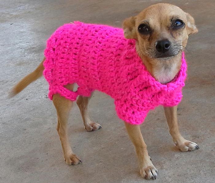 Sweetness - Crochet Dog Sweater