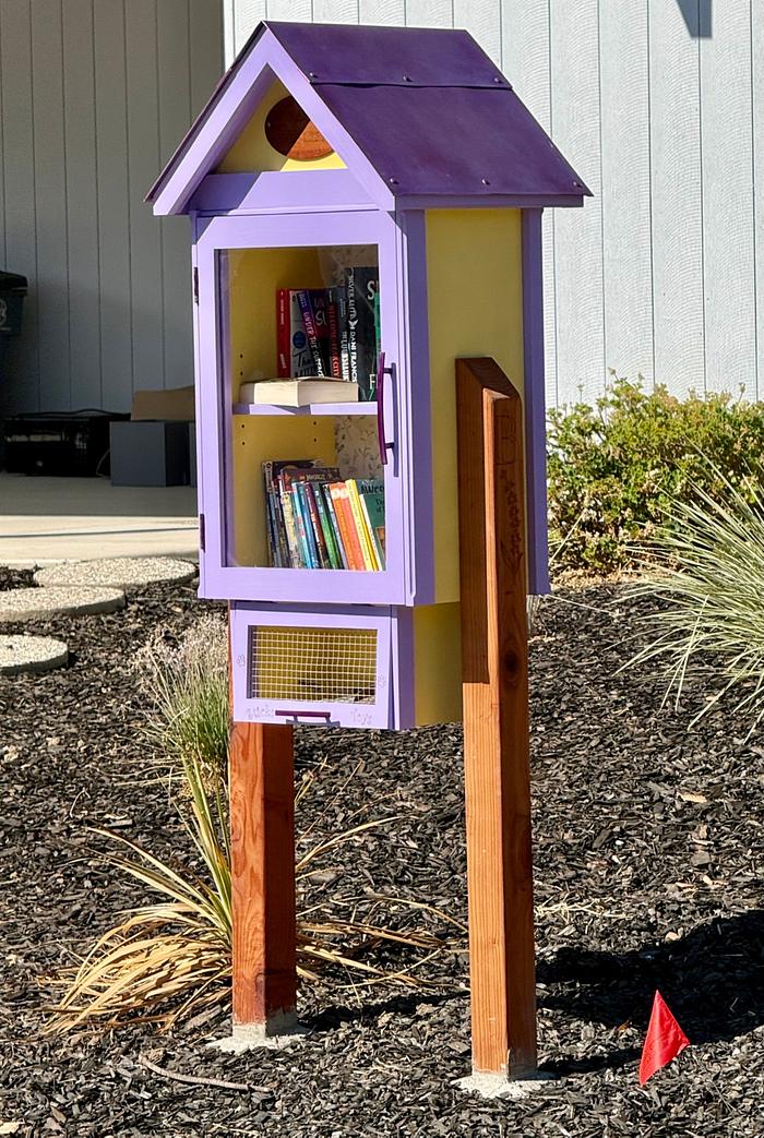 Little Library 