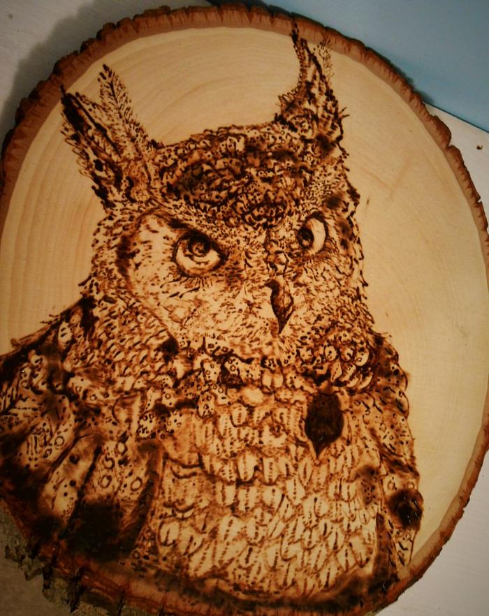 Large Owl Portrait