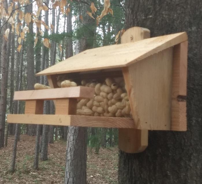 Squirrel Nut House