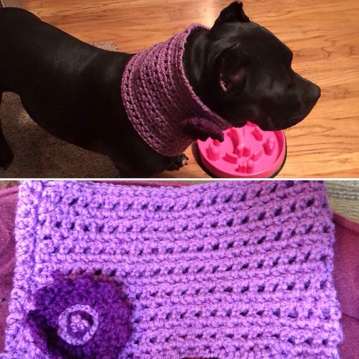 Custom dog cowl....a request from a friend