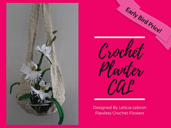 Egret Orchid & Planter