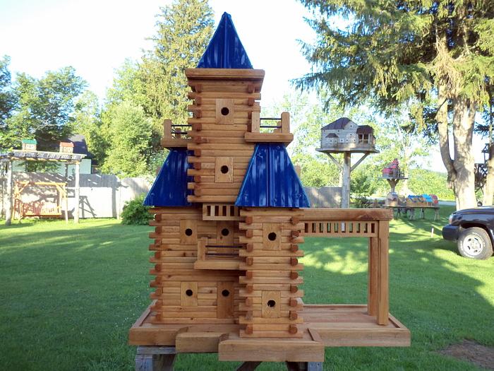 Extreme Birdhouses 