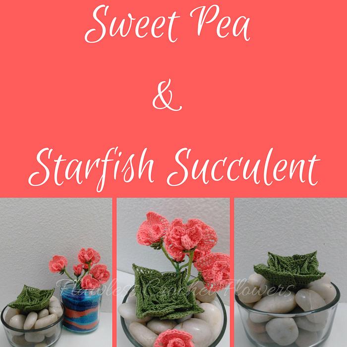 Free Sweet Pea & Starfish Succulent