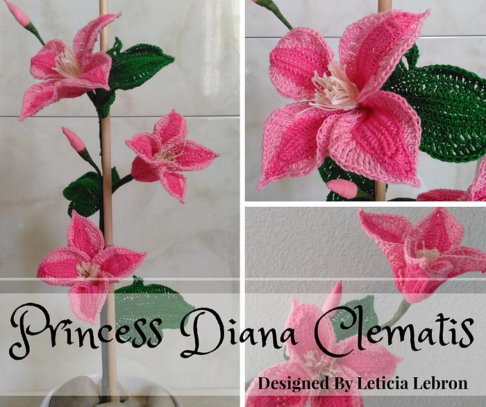 Princess Diana Clematis Flower
