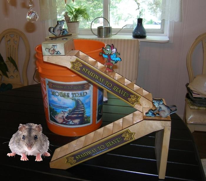 Stairway To Heaven Mouse Trap