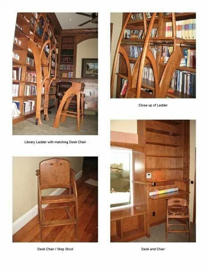 library, ladder, book cases,and stool.