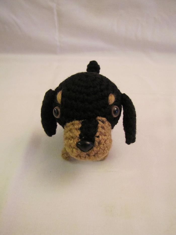 DACHSHUND BLACK & BROWN