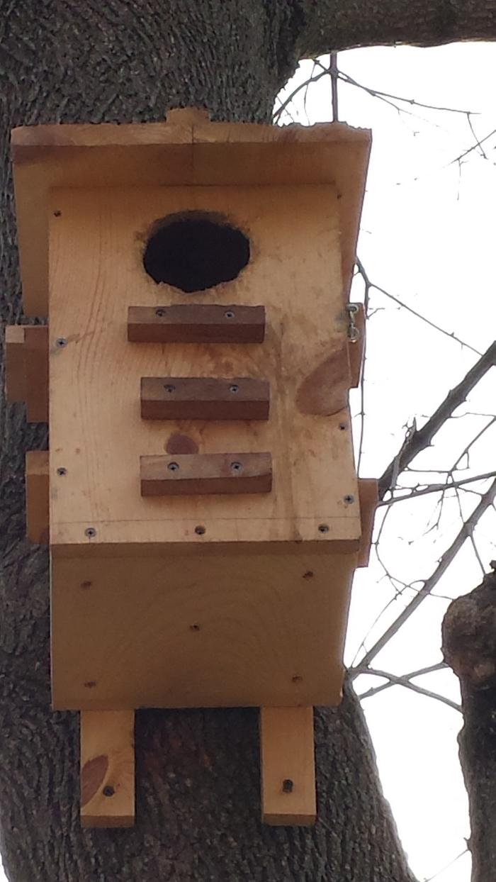 Squirrel nesting box.