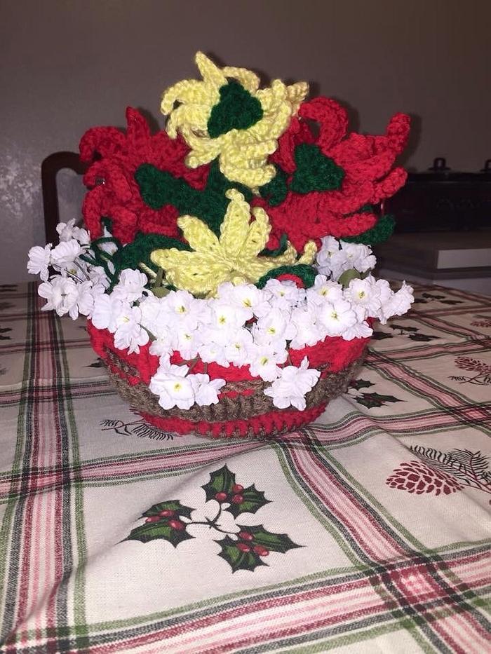 Poinsettia flowers 