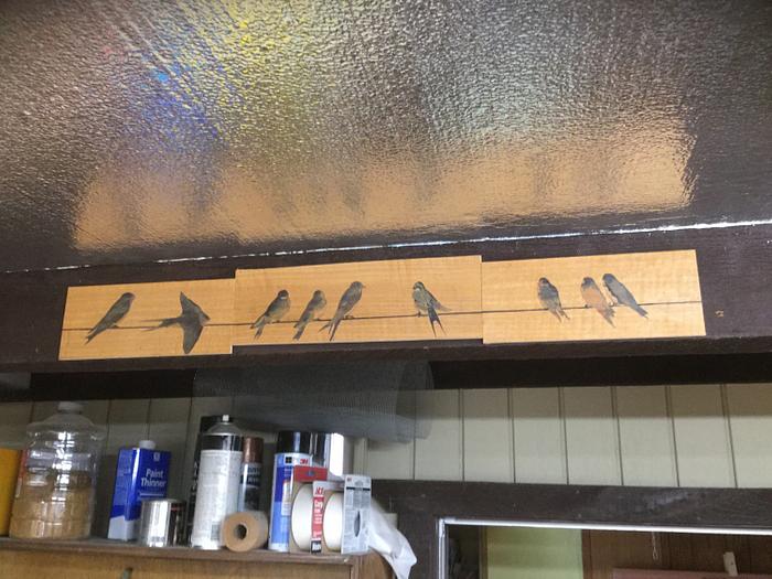 Swallows in my Rafters