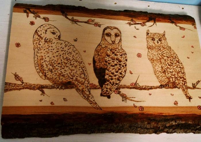 Three Owls On A Branch with Watercolor