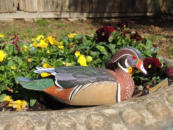 Carving of Wood Duck Drake