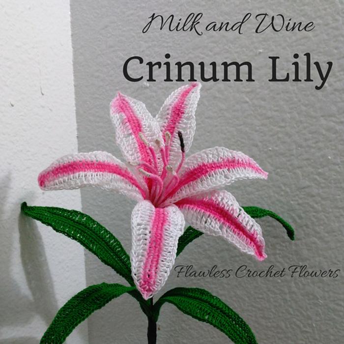 Free Crinum Lily Pattern (Milk and Wine)