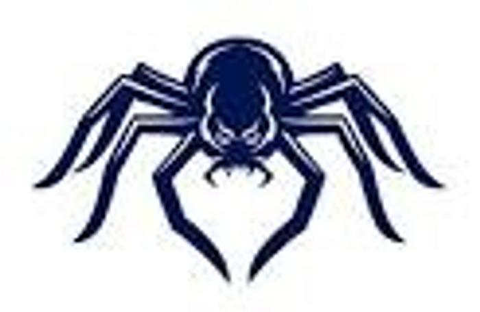 University of Richmond Spider